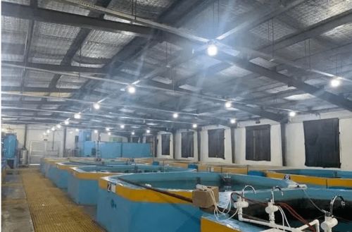 大山里也能养海虾,全工厂化循环水养殖,走出了一条生态渔业绿色发展新路子