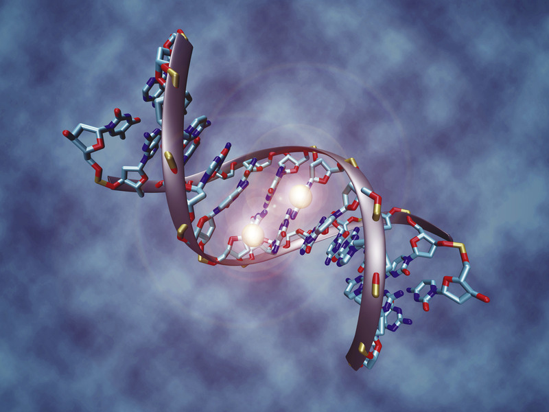 神经外科学 - 第78期:生物信息学与计算机辅助癌症诊断