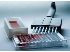 人肿瘤相关抗原ELISA试剂盒_供应产品_上海恒远生物技术