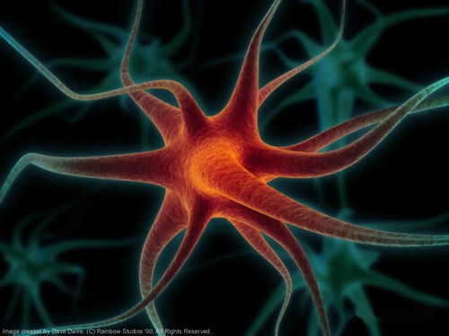 高考生物热点 生命活动调节中的相关实验分析与探究