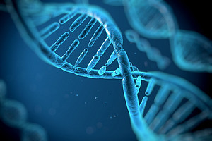 全部产品分类_和元生物技术