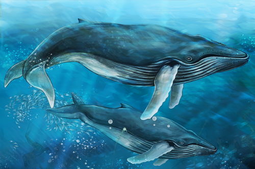 向孩子那样感受，爱是望向世界的眼睛