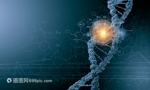 DNA分子 从生物化学背景到高科技应用