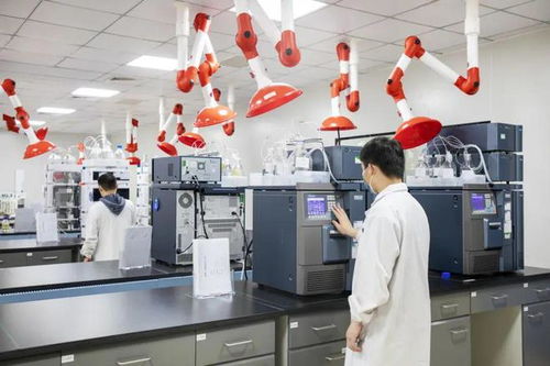 黄陂区生物产业招商成果丰硕 德国克诺尔等12个重大项目落户