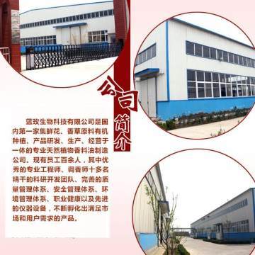 天竺葵纯露 深层净化肌肤，焕活水润光彩——蓝玫丫厂家直销美容院装专业解析