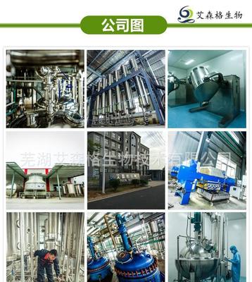 探索人参皂苷20% 源自专业植提厂家的高品质人参提取物