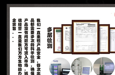 批发向天果提取物 厂家直供 10:1原料淬炼 高品质优价