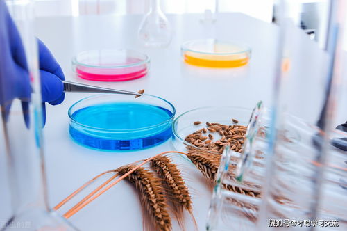 2022年上海理工大学846食品微生物学考研真题解析与生物学科备考策略
