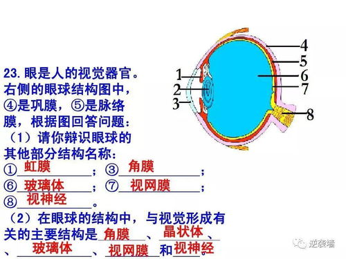 初中生物 重要识图题填空归纳 建议收藏